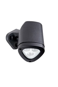 RAX4530-25-2 RAX4530-25-2